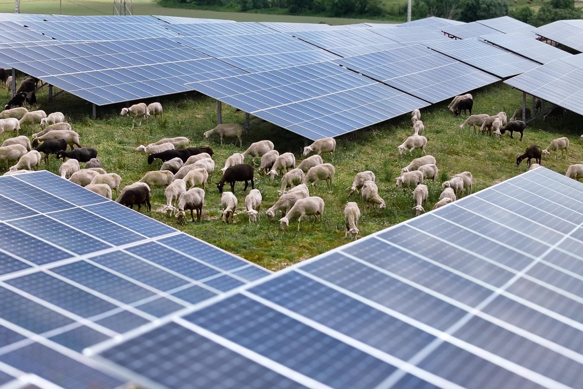 valorisation-du-terrain